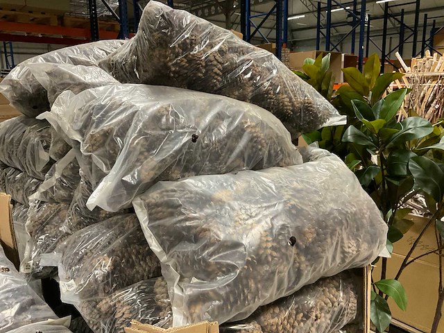 Denneappels - afbeelding 3 van  4