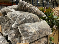 Denneappels - afbeelding 3 van  4