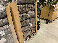 Denneappels - afbeelding 4 van  4