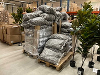 Denneappels - afbeelding 1 van  7