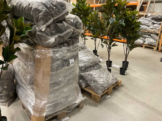 Denneappels - afbeelding 2 van  7