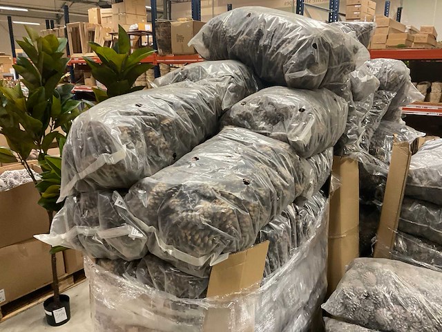 Denneappels - afbeelding 3 van  7