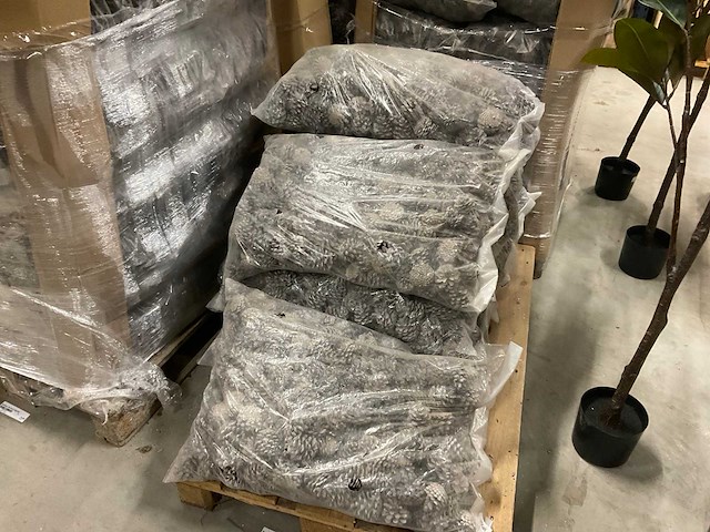 Denneappels - afbeelding 5 van  7