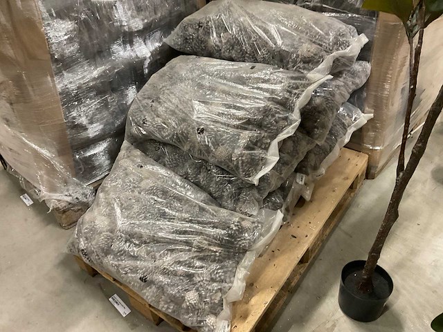 Denneappels - afbeelding 6 van  7