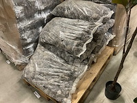 Denneappels - afbeelding 6 van  7