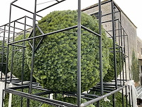 Dennetak rond kunstof kerst bol met ledverlichting - afbeelding 6 van  7