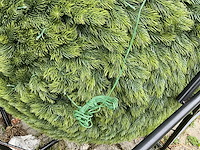 Dennetak rond kunstof kerst bol met ledverlichting - afbeelding 2 van  7