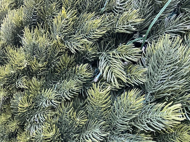 Dennetak rond kunstof kerst bol met ledverlichting - afbeelding 4 van  7