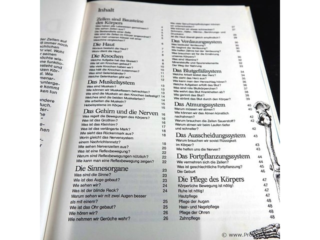 Der mensch - afbeelding 3 van  5