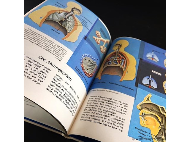 Der mensch - afbeelding 4 van  5