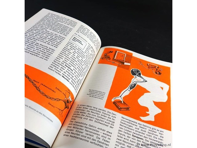 Der mensch - afbeelding 5 van  5