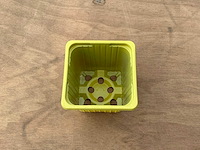 Desch plastic plantpot (143920x) - afbeelding 4 van  4