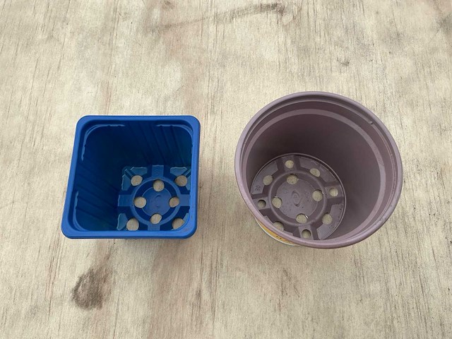 Desch plastic plantpot (17160x) - afbeelding 6 van  6