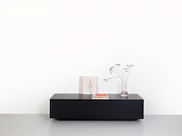 Design tv-meubel, raat, norm | 120 lowboard, zwart, staand of zwevend