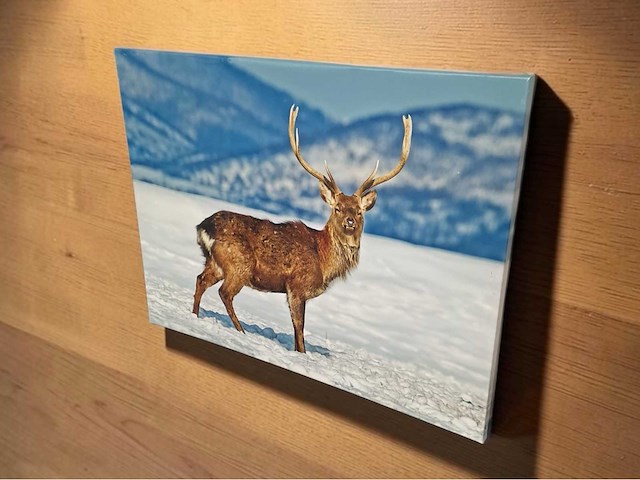 Design wand decoratie 80x60 cm - afbeelding 1 van  3