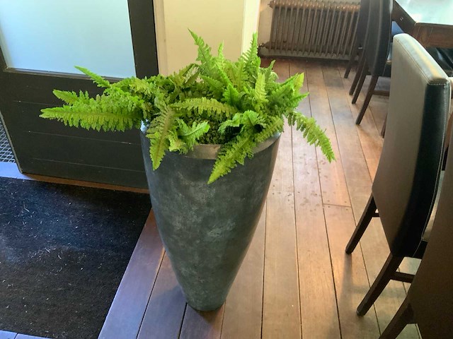 Designpot met kunstplant - afbeelding 2 van  3
