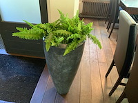 Designpot met kunstplant - afbeelding 2 van  3