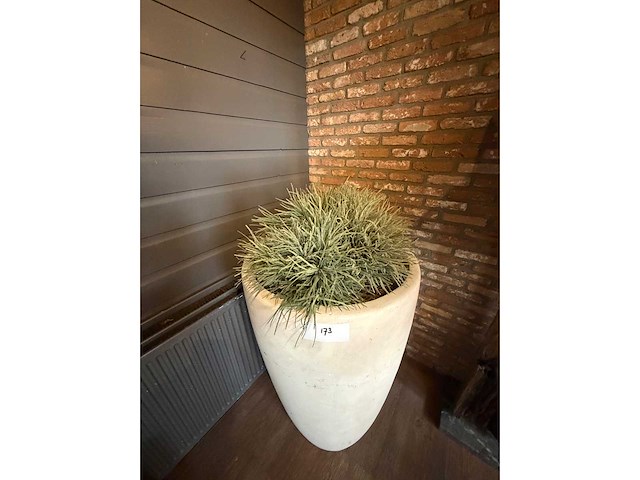 Designvaas inclusief kunstplant - afbeelding 3 van  5