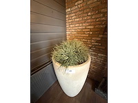 Designvaas inclusief kunstplant - afbeelding 3 van  5