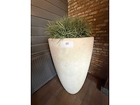 Designvaas inclusief kunstplant - afbeelding 4 van  5