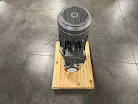 Desmi - pvln0080/a12 - in-line centrifugaalpomp met elektromotor - afbeelding 4 van  6