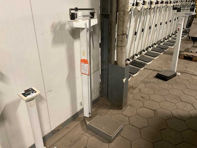 Detecto personen weegschaal - afbeelding 1 van  3