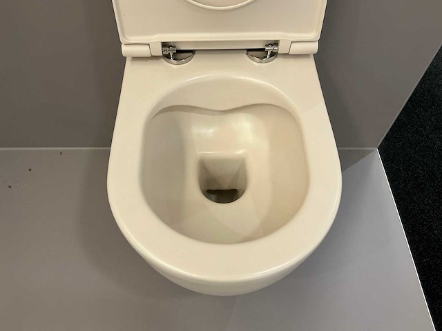 Detremmerie kameleon wandcloset - afbeelding 3 van  5