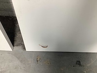 Deur (2x) - afbeelding 5 van  5