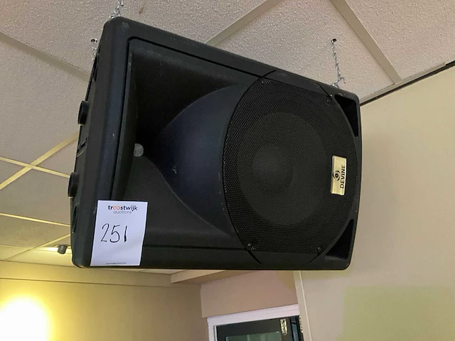 Devine artis 12 speaker en toebehoren (4x) - afbeelding 1 van  6