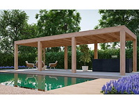 Dhz douglas luxe terrasoverkapping buitenverblijf (21016) - afbeelding 1 van  2