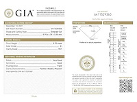 Diamant - 0.70 carat echte diamant (gecertificeerd) - afbeelding 5 van  5