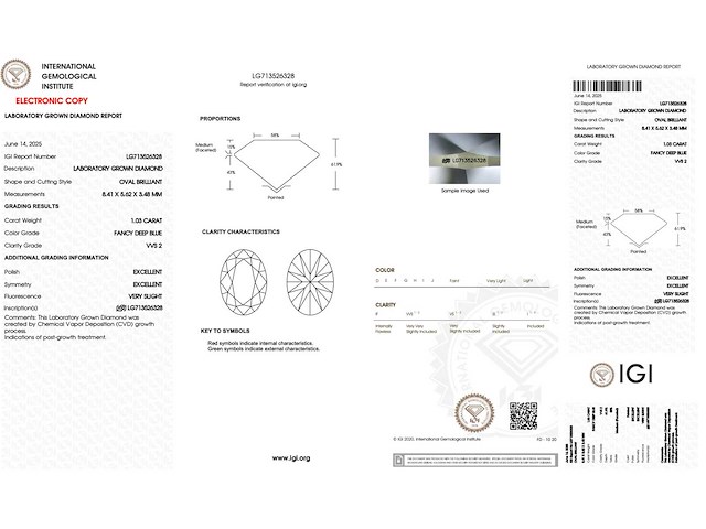 Diamant - 1.03 carat ovaal geslepen diamant (gecertificeerd) - afbeelding 4 van  4
