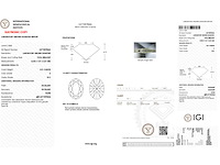 Diamant - 3.01 carat ovaal geslepen geslepen diamant (gecertificeerd) - afbeelding 4 van  4