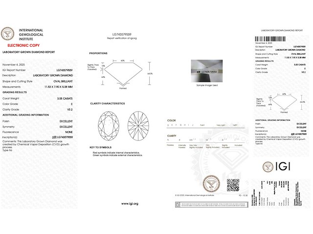 Diamant - 3.05 carat ovaal geslepen geslepen diamant (gecertificeerd) - afbeelding 4 van  4