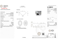 Diamant - 3.05 carat ovaal geslepen geslepen diamant (gecertificeerd) - afbeelding 4 van  4