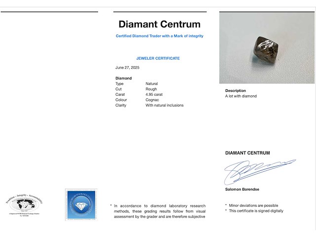 Diamant - 4.95 carat carat echte ruwe diamant - oktaeder vorm - afbeelding 3 van  4