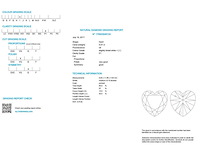 Diamant - 5.01 carat investeringsdiamant met hrd certificaat (gecertificeerd) - afbeelding 3 van  7