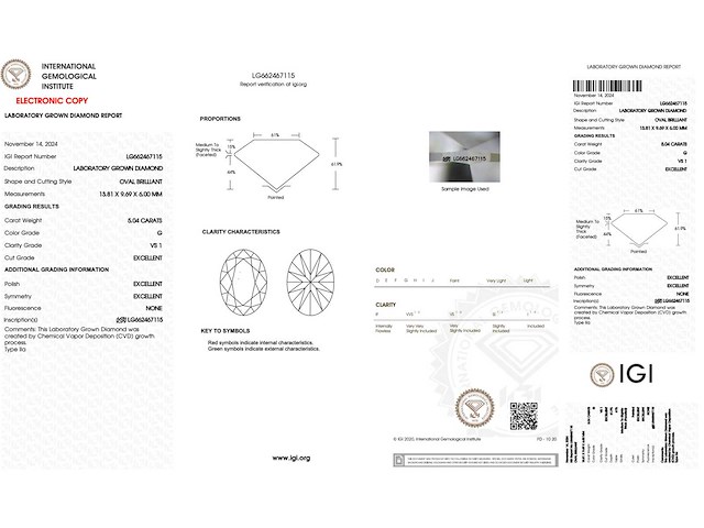 Diamant - 5.04 carat ovaal geslepen diamant (gecertificeerd) - afbeelding 4 van  4