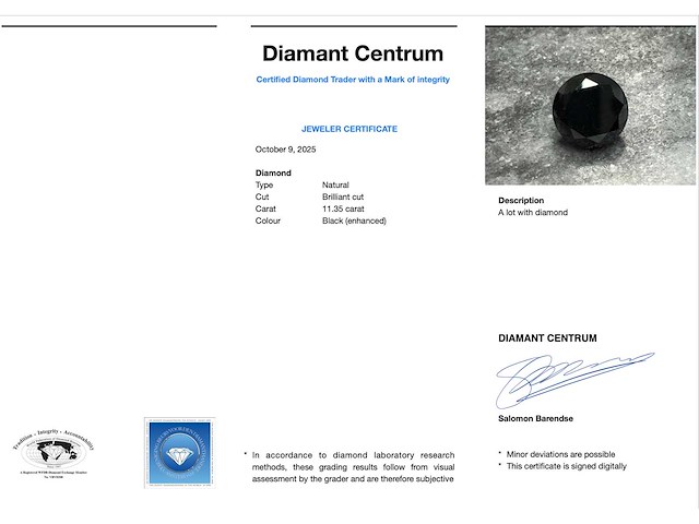 Diamant 11.35 carat zwarte natuurlijke diamant - afbeelding 3 van  4