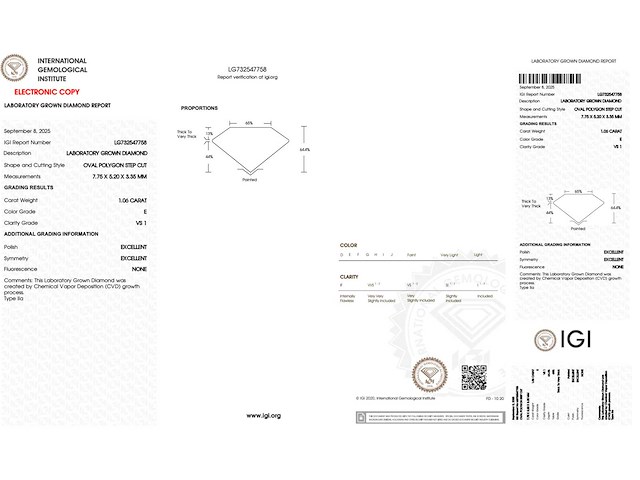 Diamant ovaal 1.06 ct - afbeelding 3 van  5
