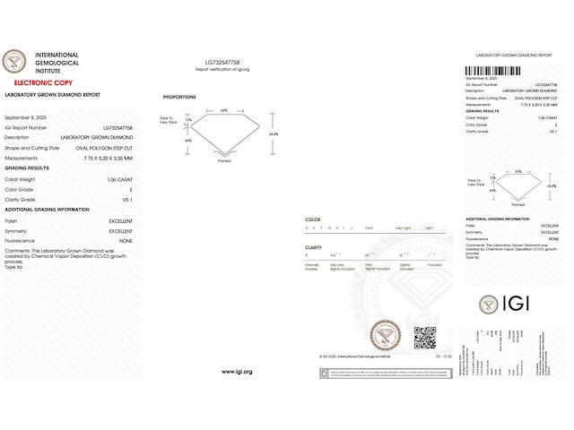 Diamant ovaal 1.06 ct - afbeelding 5 van  5
