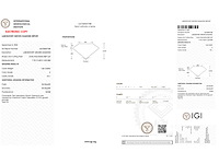 Diamant ovaal 1.06 ct - afbeelding 5 van  5