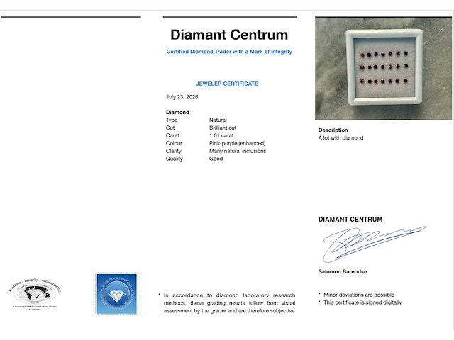 Diamant paars 1.01 ct - afbeelding 2 van  3