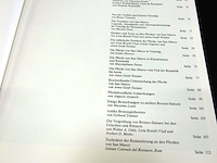 Die pferde von san marco - afbeelding 3 van  5