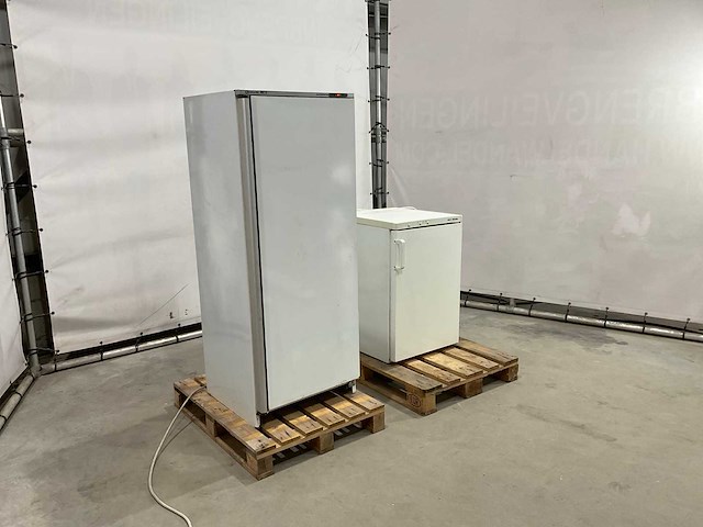 Diepvries (2x) - afbeelding 4 van  7