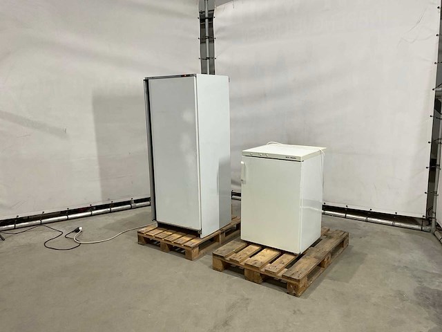 Diepvries (2x) - afbeelding 1 van  7