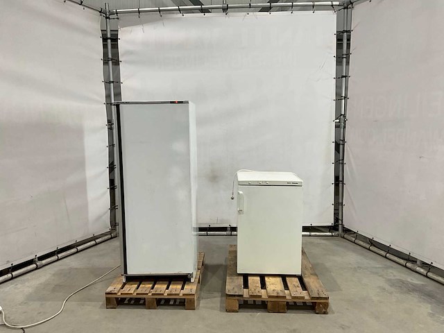 Diepvries (2x) - afbeelding 3 van  7