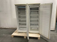 Diepvrieskasten h. 143 xb. 55 x d. 57 cm (2x) - afbeelding 2 van  2