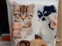 Dieren verzorgingsdoekjes 6 stuks in ds 26 - afbeelding 3 van  3