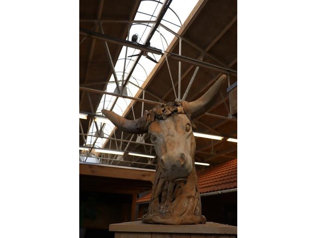 Dierenkop sculptuur - 75x78x90cm - afbeelding 2 van  3